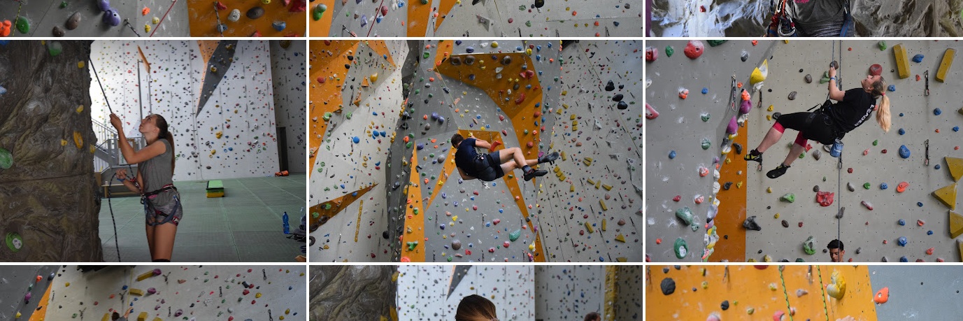 Náhled alba Multikemp 2019